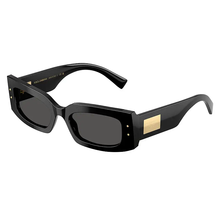 Occhiali da Sole Dolce&Gabbana DG4479 501/87