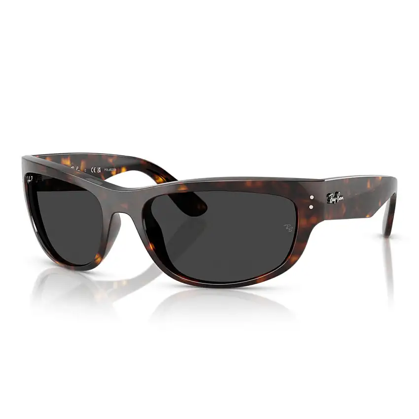 Occhiali da Sole Ray-Ban Mega Balorama RB2289 902/48 Polarizzati