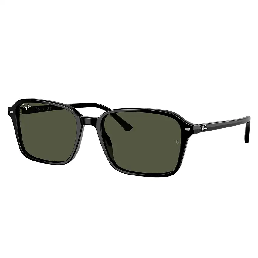 Occhiali da Sole Ray-Ban Raimond RB2231 901/31