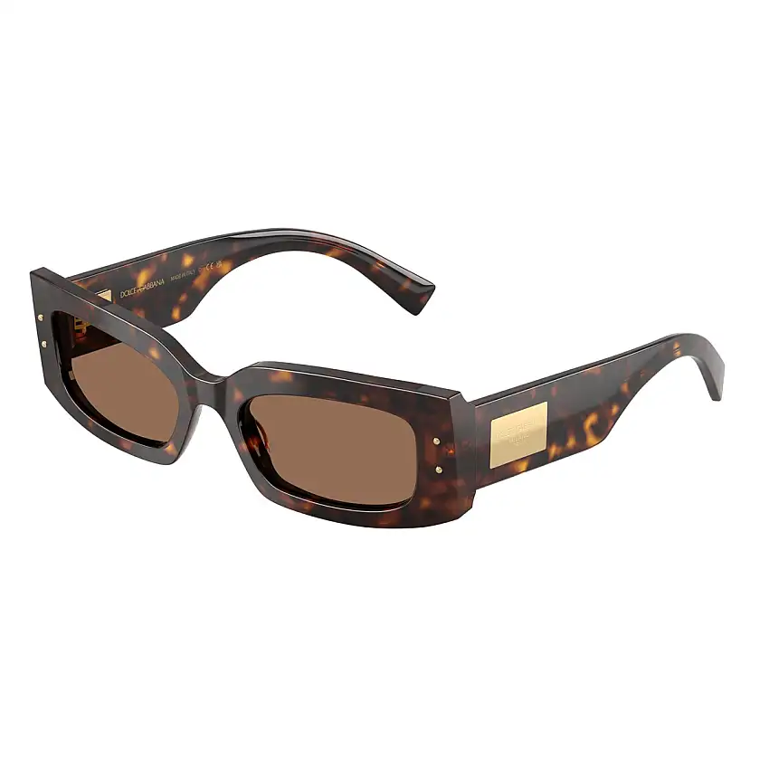 Occhiali da Sole Dolce&Gabbana DG4479 502/73