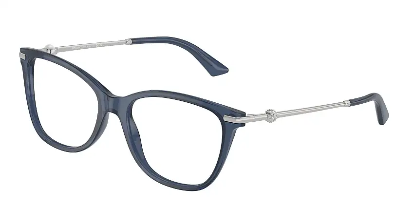 Jimmy Choo JC3007HB 5035 54