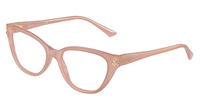Jimmy Choo JC3011 5027 52