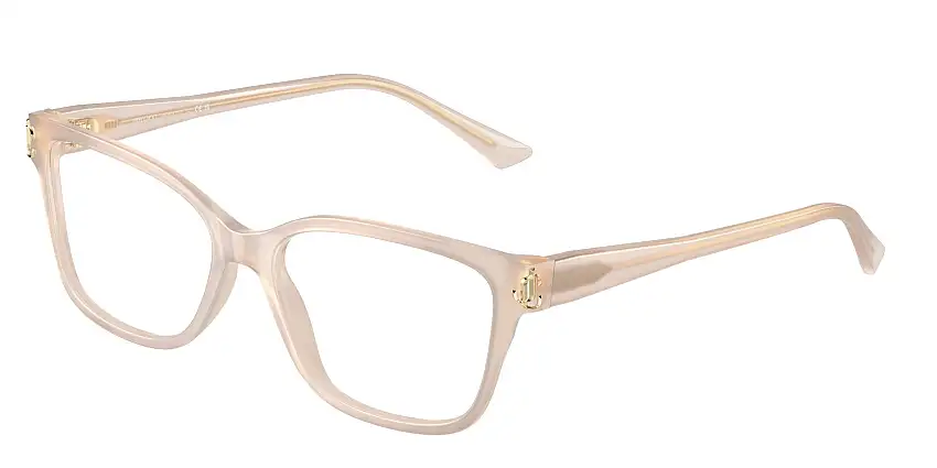 Jimmy Choo JC3012 5025 55