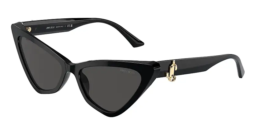 Jimmy Choo JC5008 500087 55