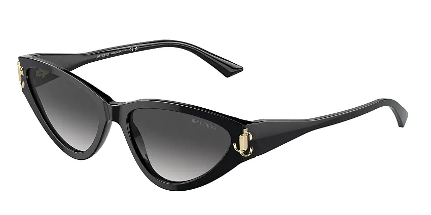 Jimmy Choo JC5019 50008G 55
