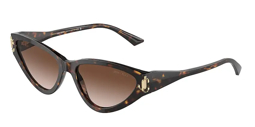 Jimmy Choo JC5019 500213 55