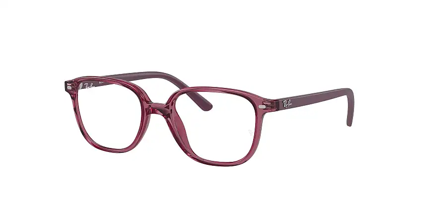 Ray-Ban RY9093V LEONARD JR 3898 45