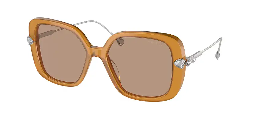 Swarovski SK6011 200563 55