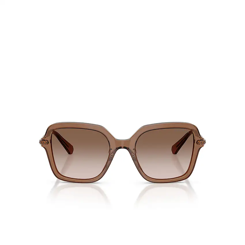 Swarovski SK6040-106713TransparentBrown